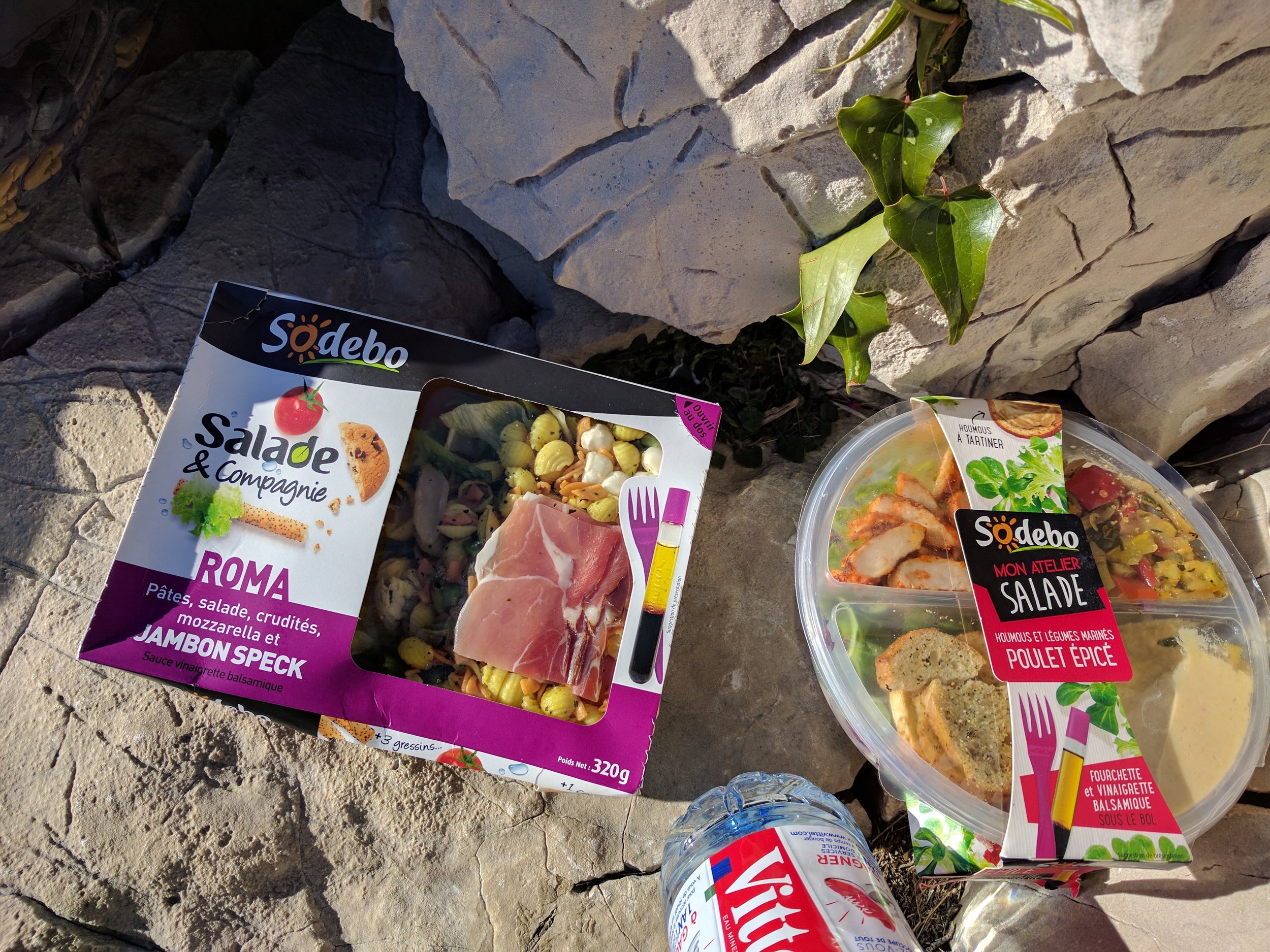 Picnic lunch!