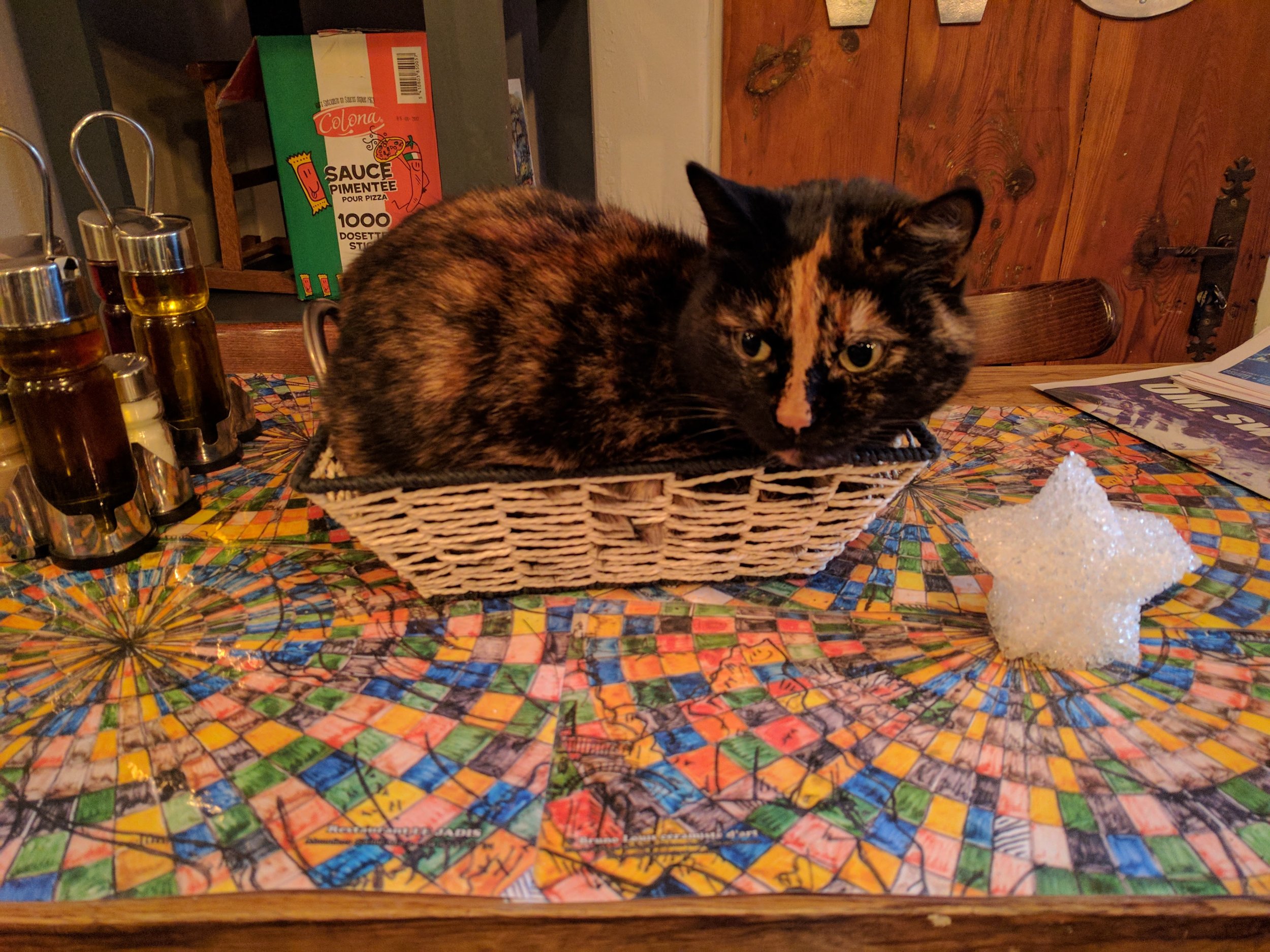 <p>We stopped for a tea and a break from the rain, and saw this cat in the cafe</p>
