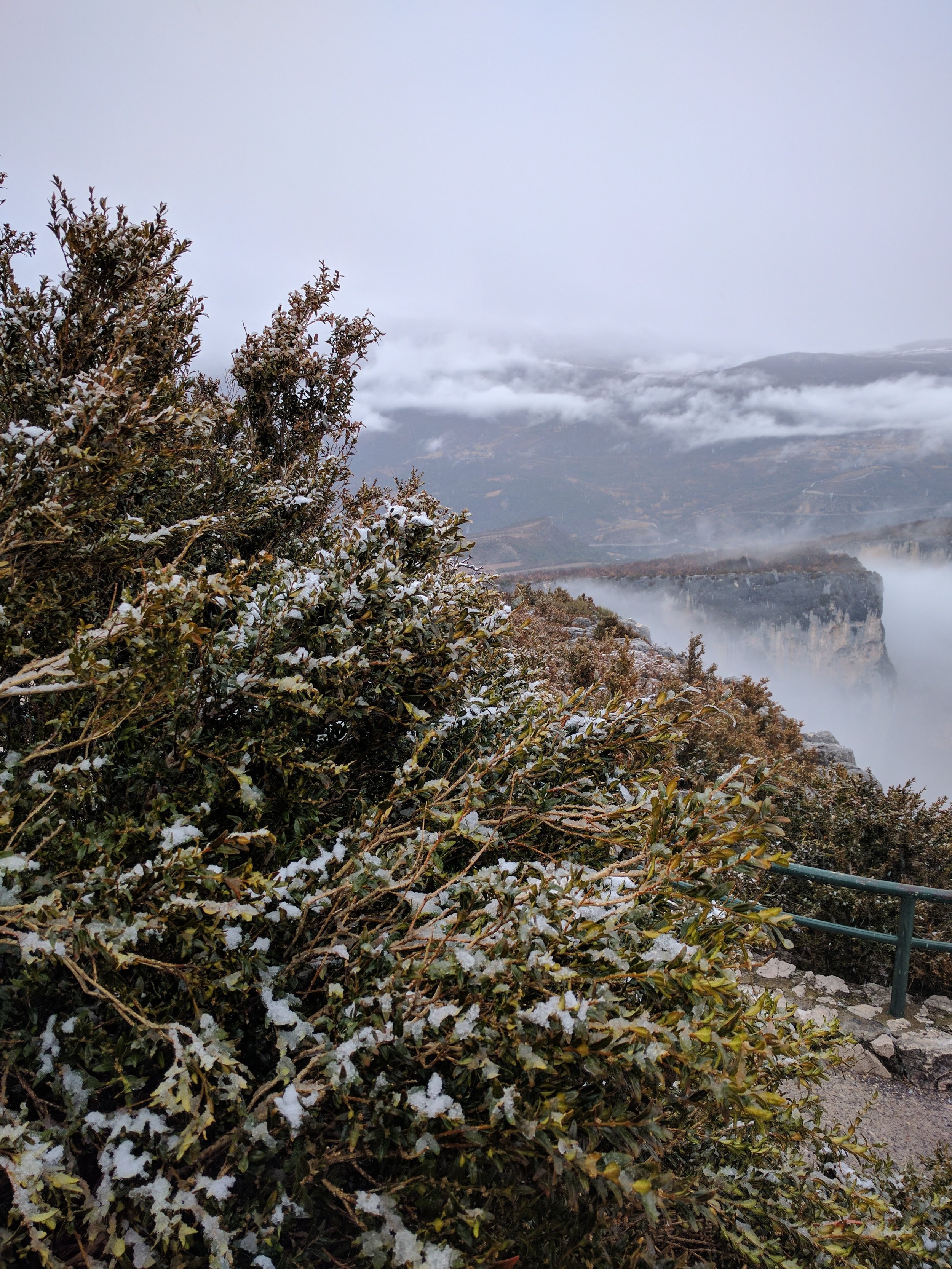 Oh hey! Snow!