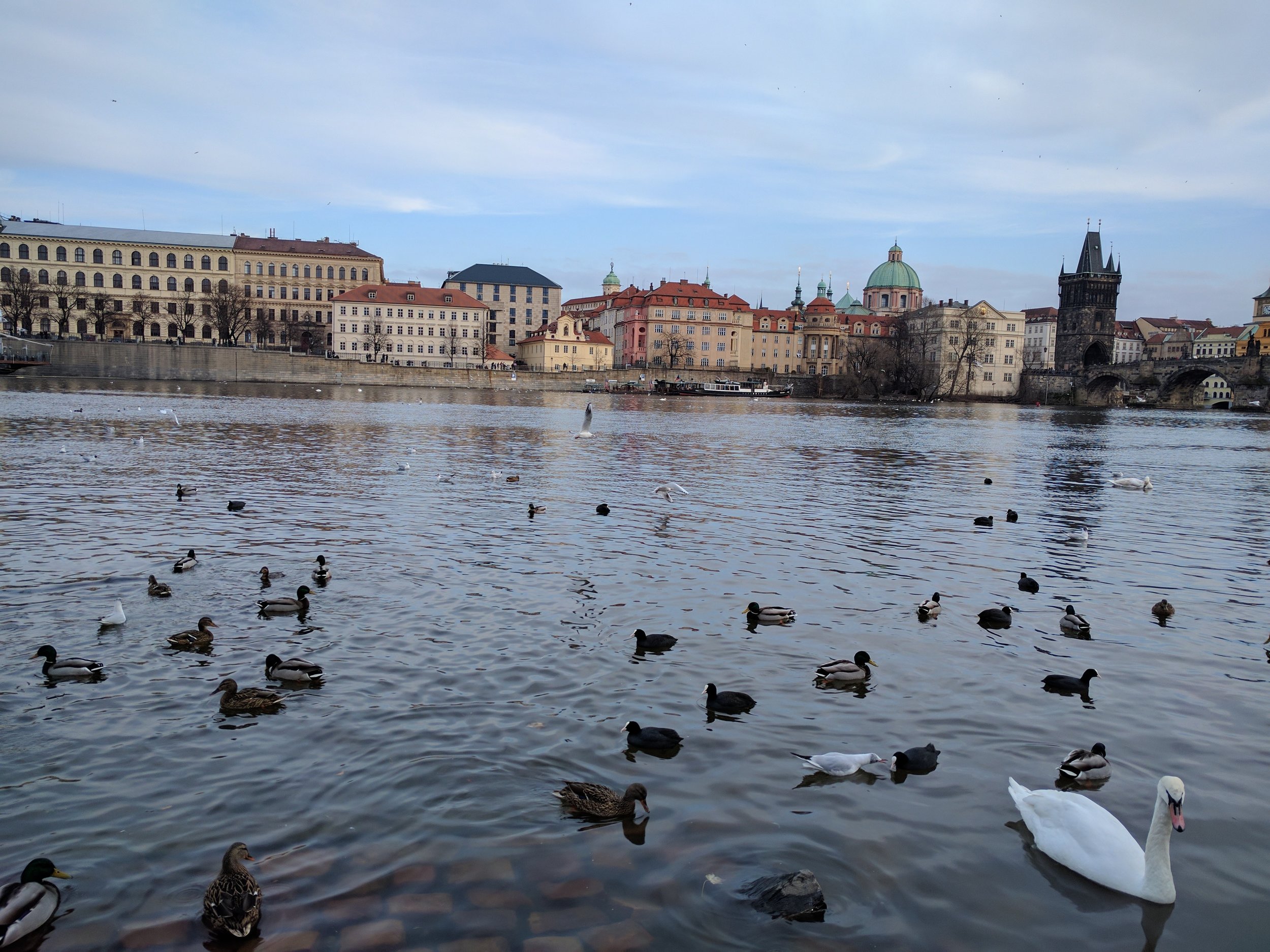 Czech it out!