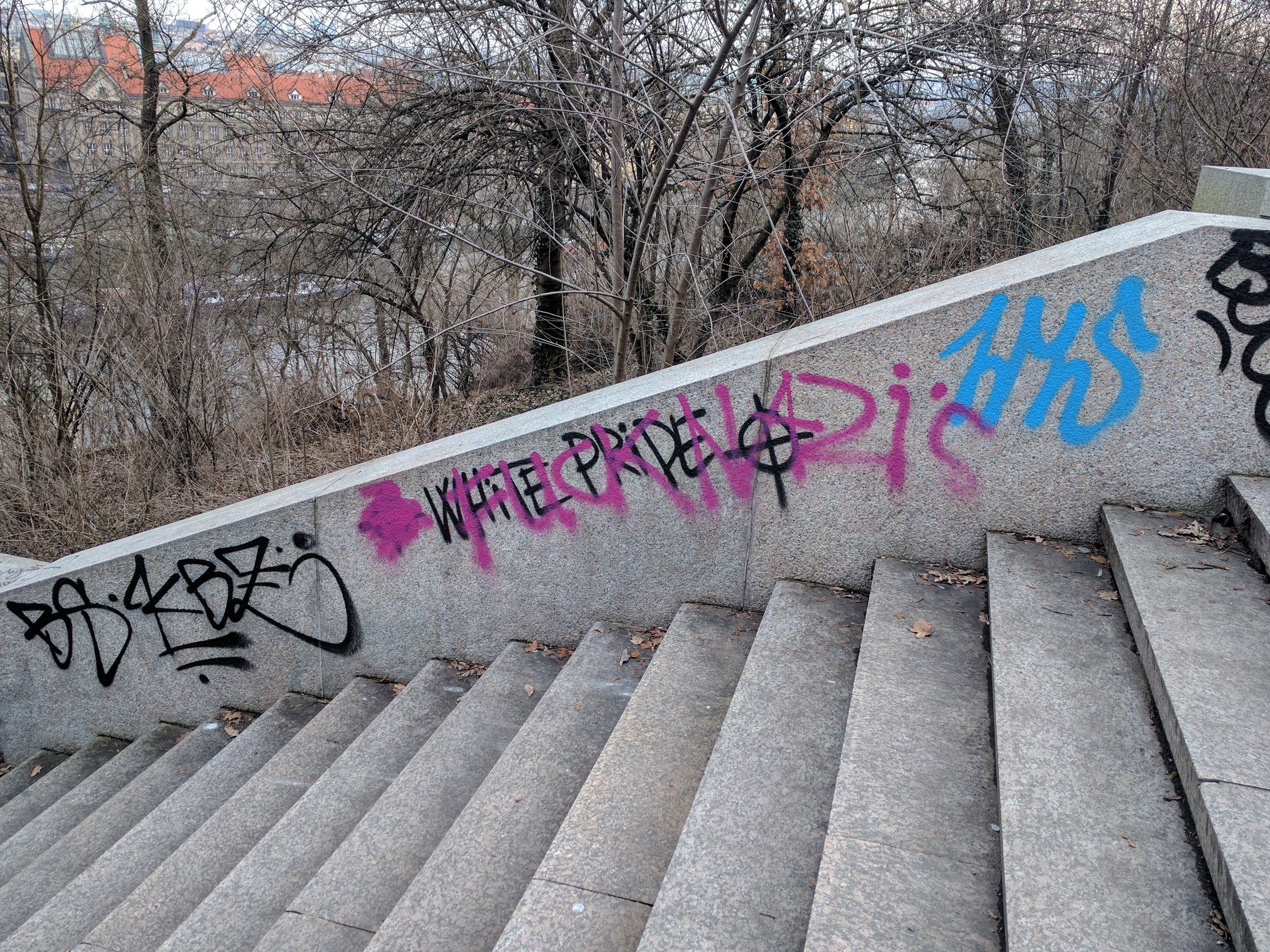 Which came first? White Pride or F*ck Nazis