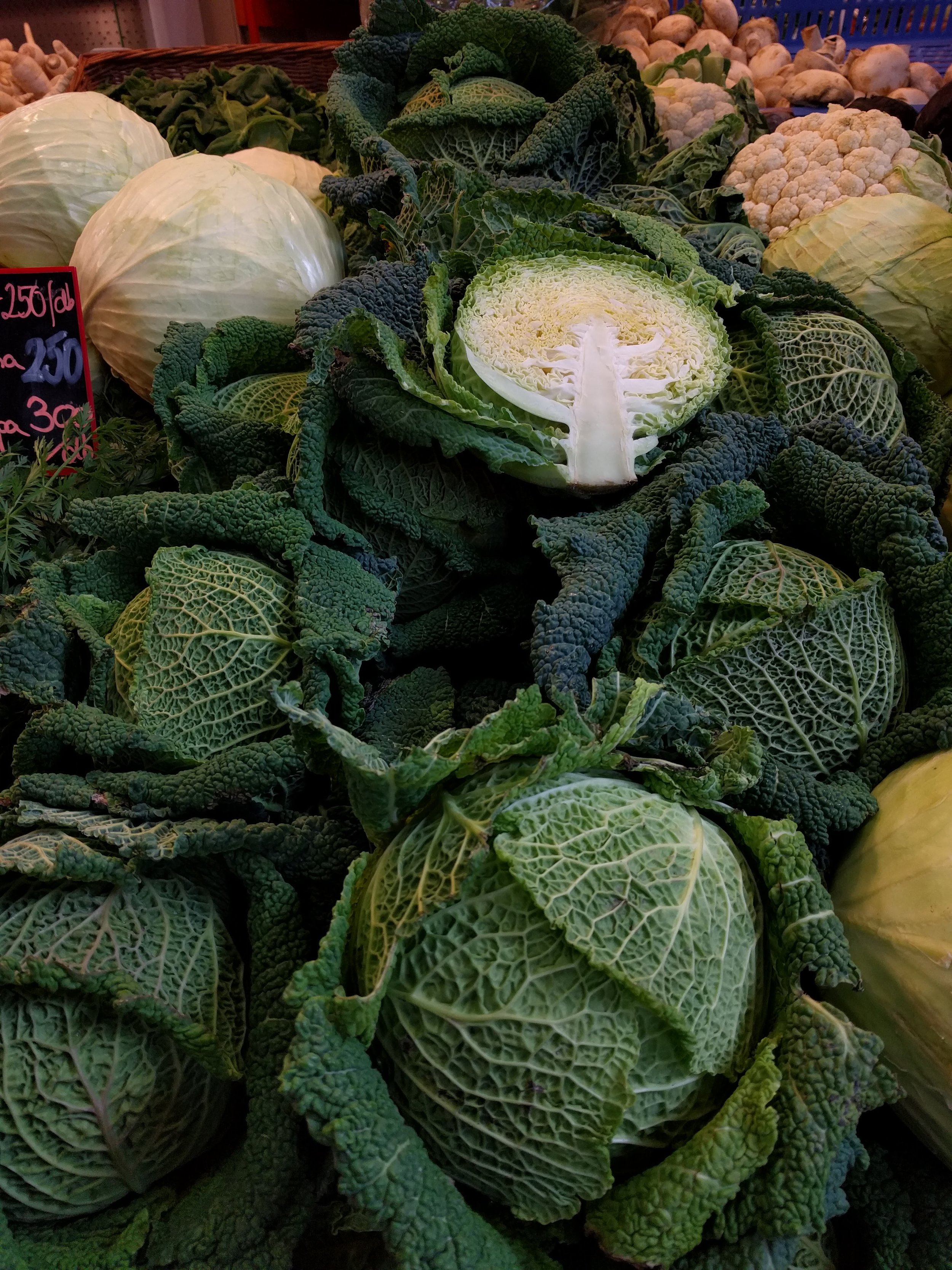 Savoy cabbage!