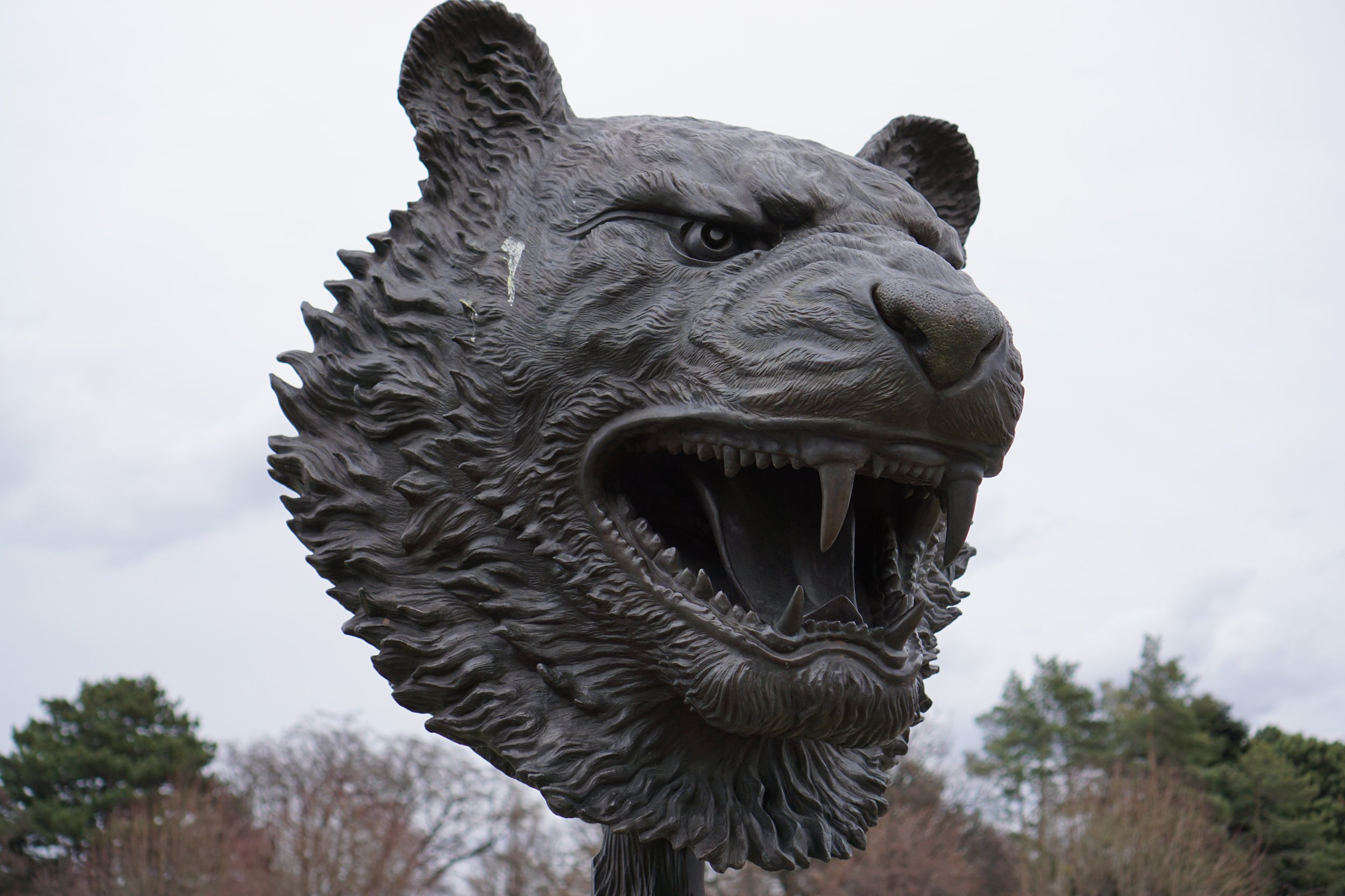 Tiger for Lishan