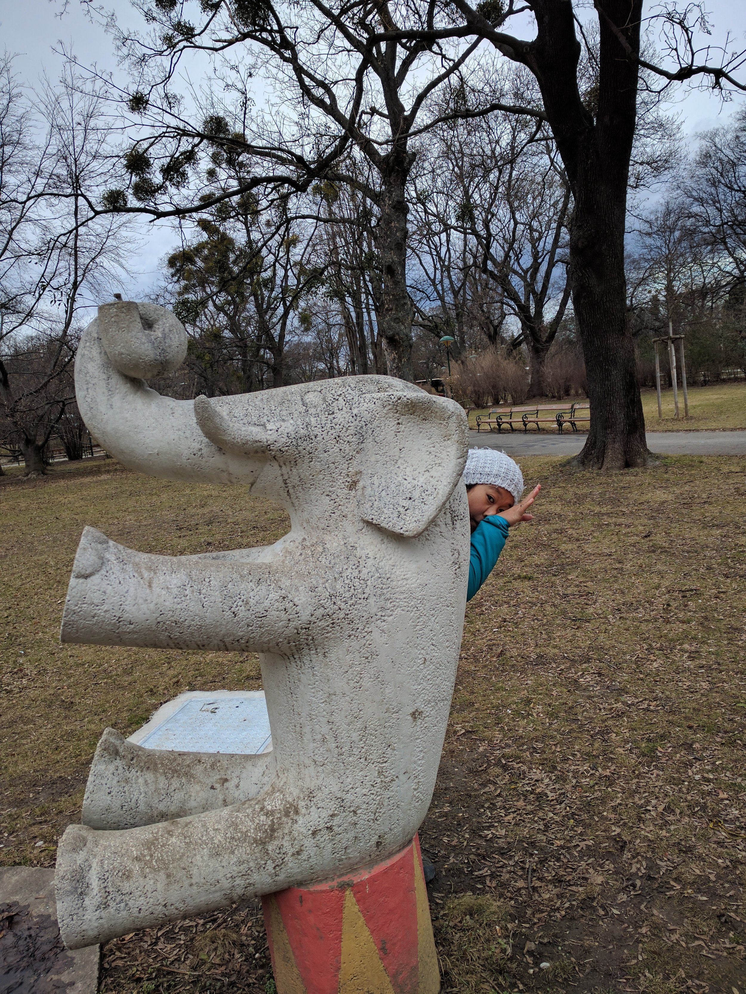 I found an elephant!