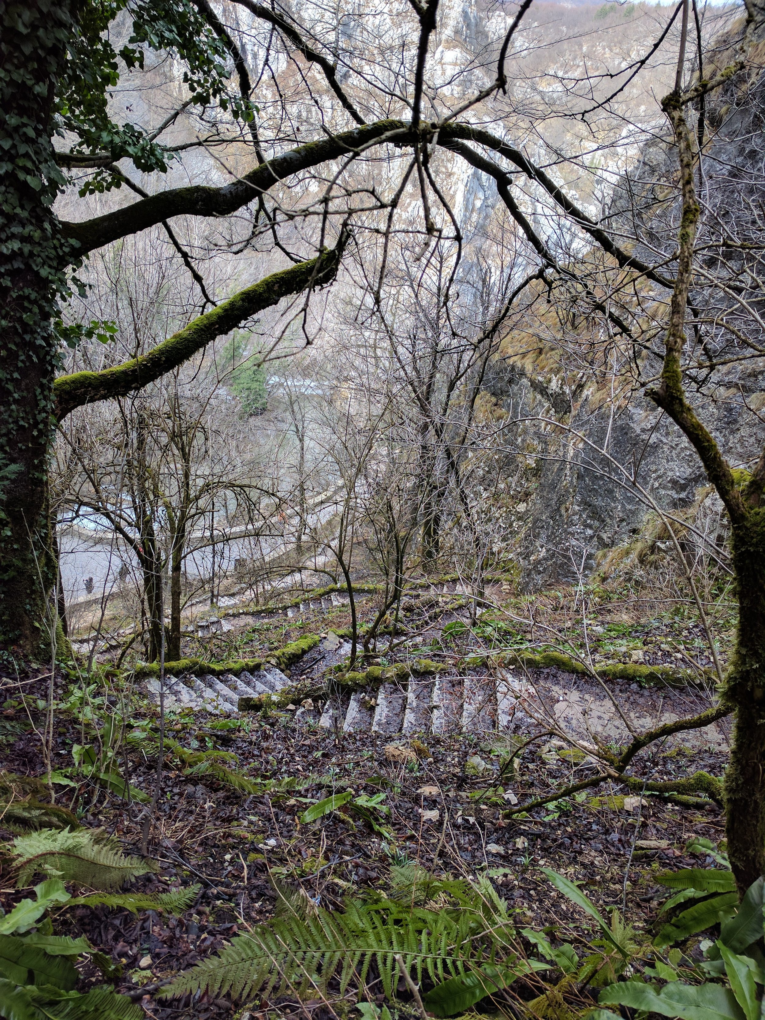 path from the waterfall