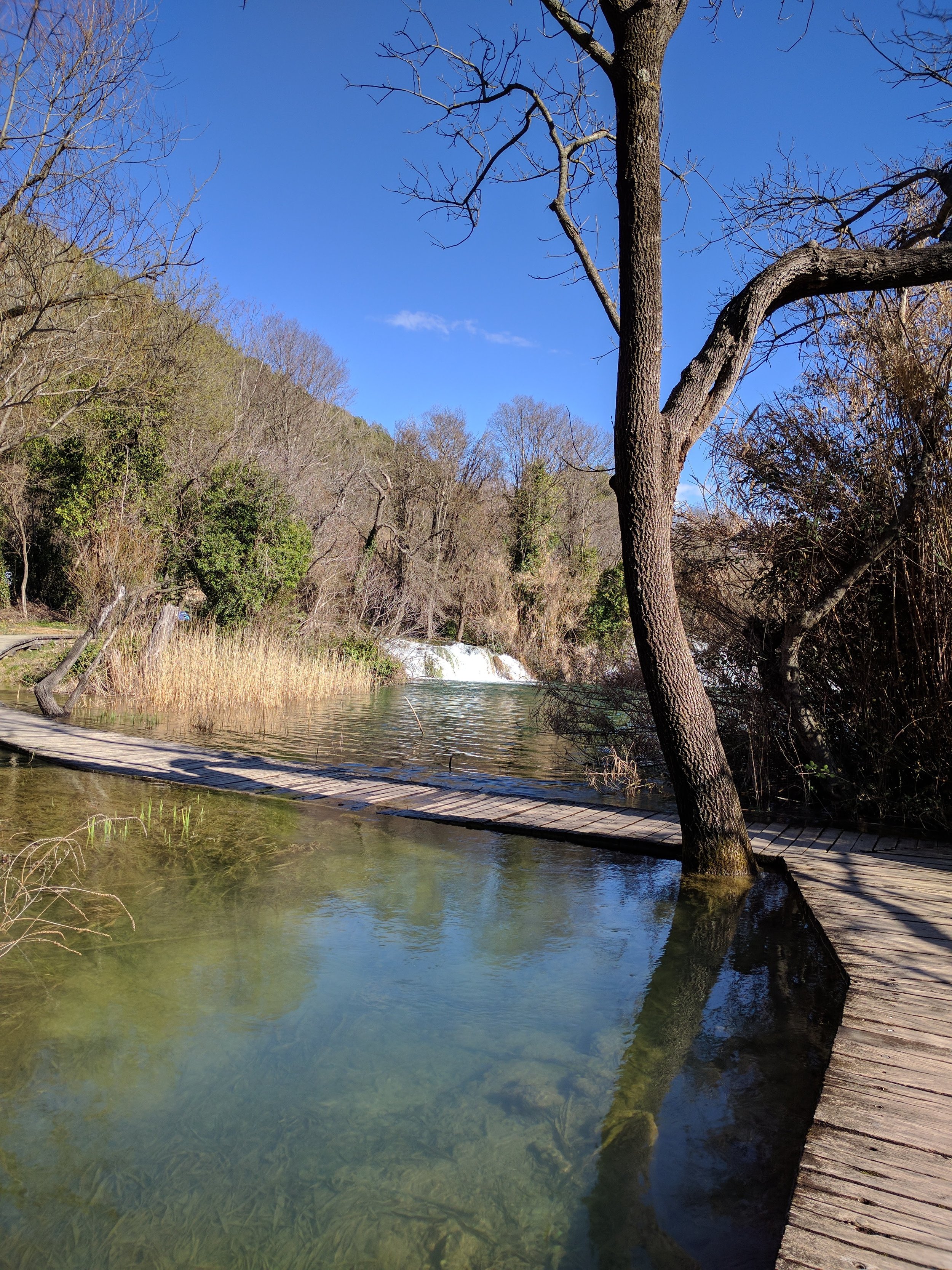 slightly flooded boardwalks