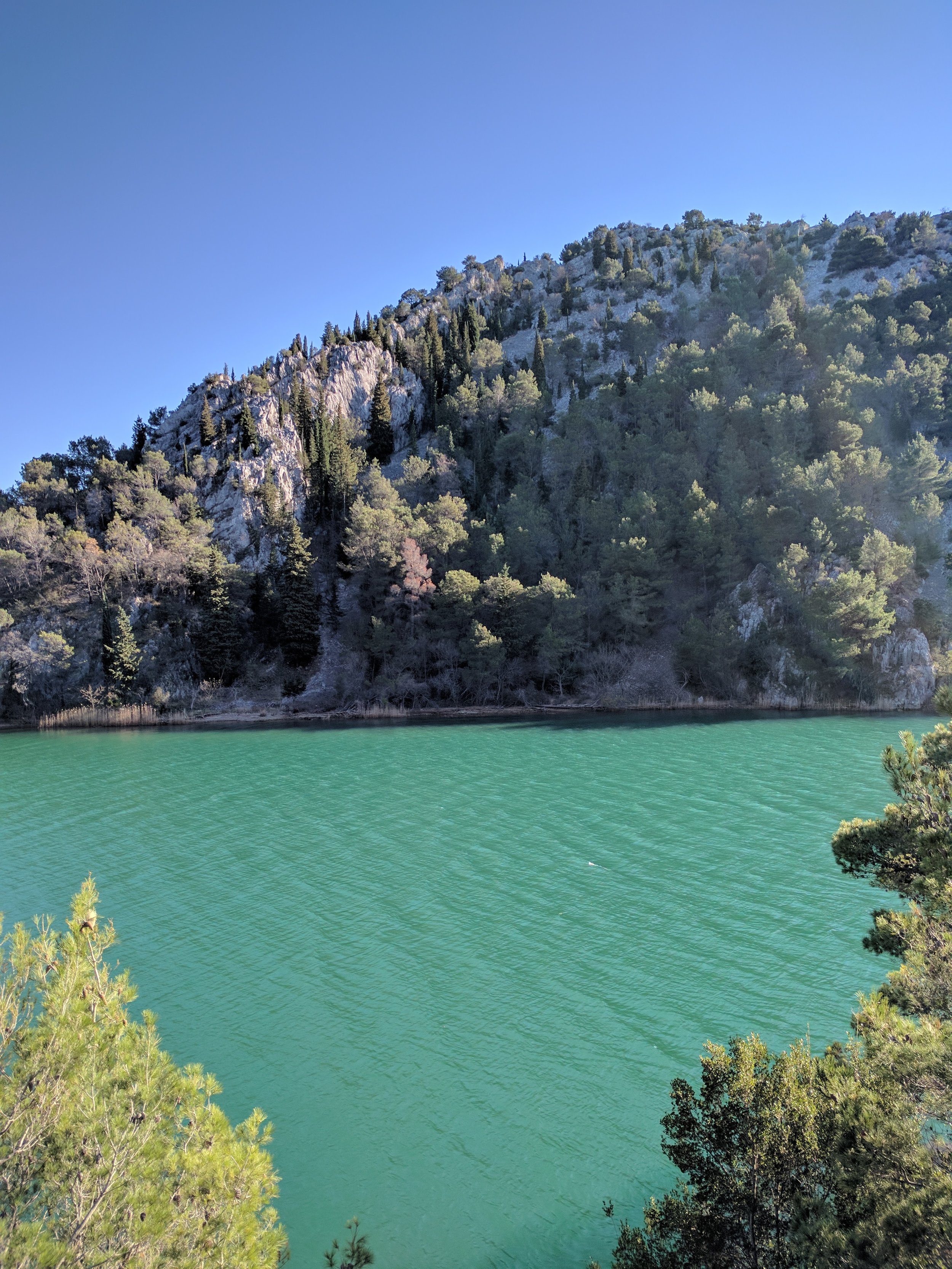 the lake was SO green!