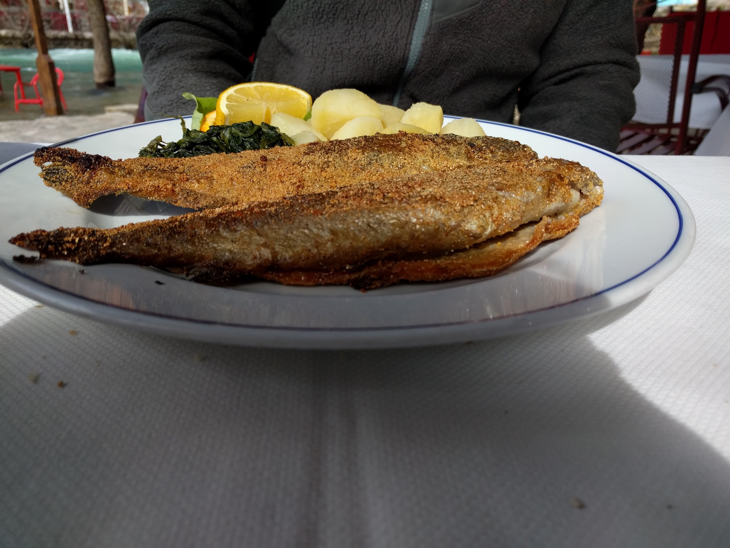 Trout "blagaj" style at Vrelo