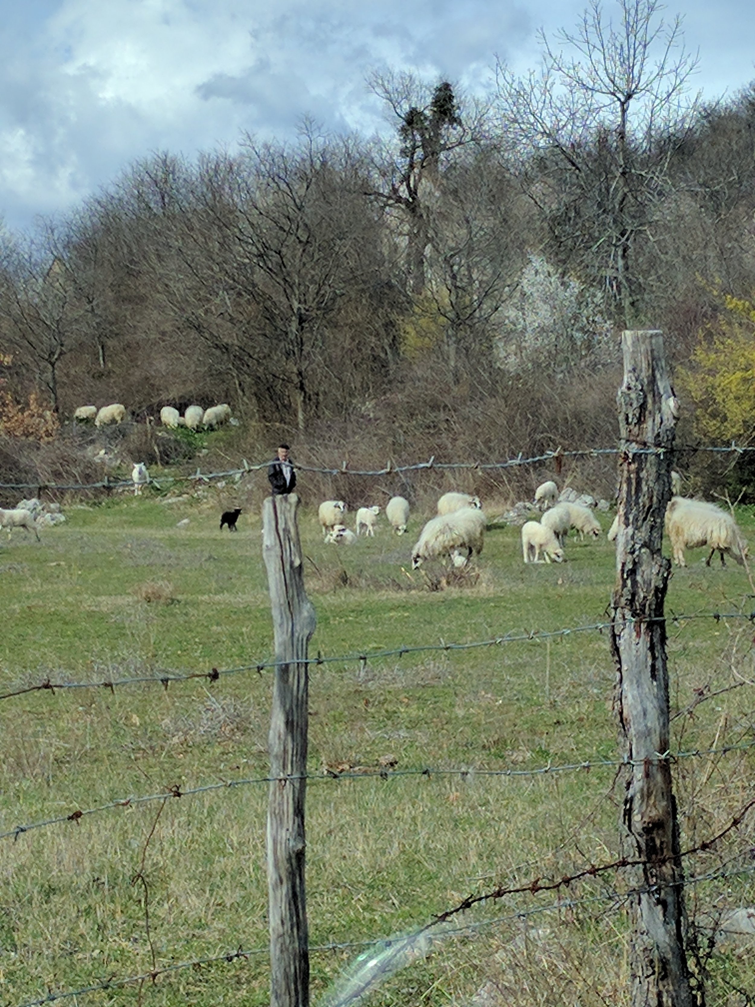 Driving along a farm road before we turned around