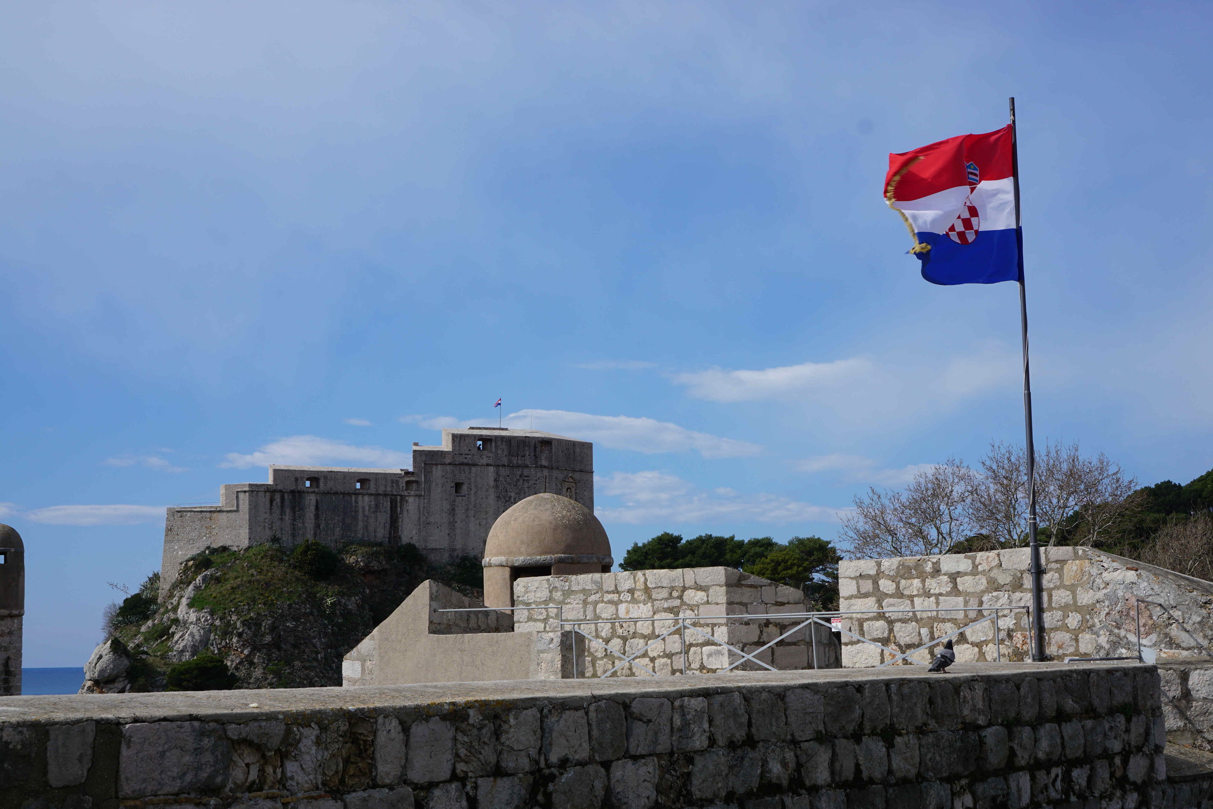 Croatia's Flag