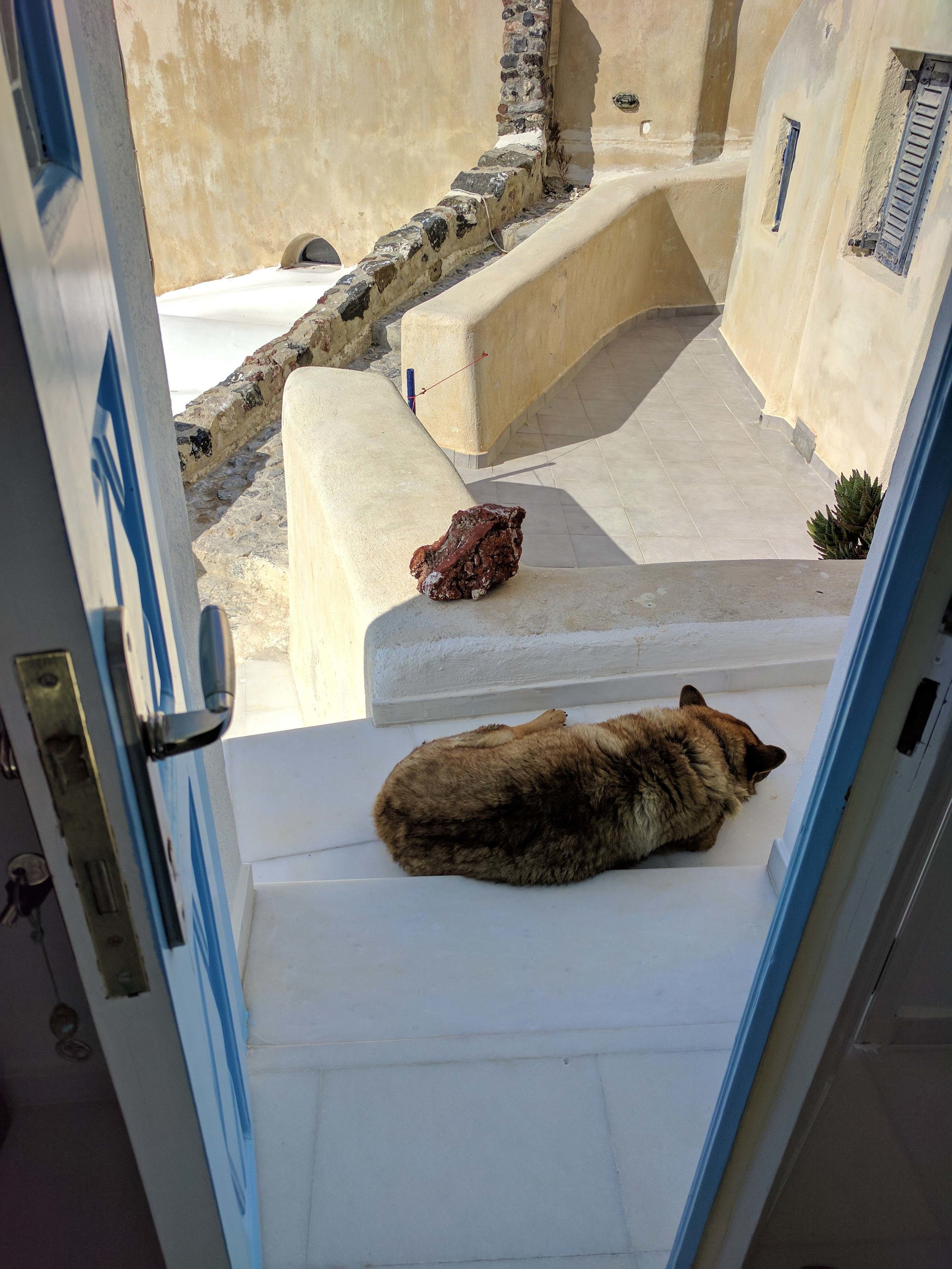 Our friend was still sleeping