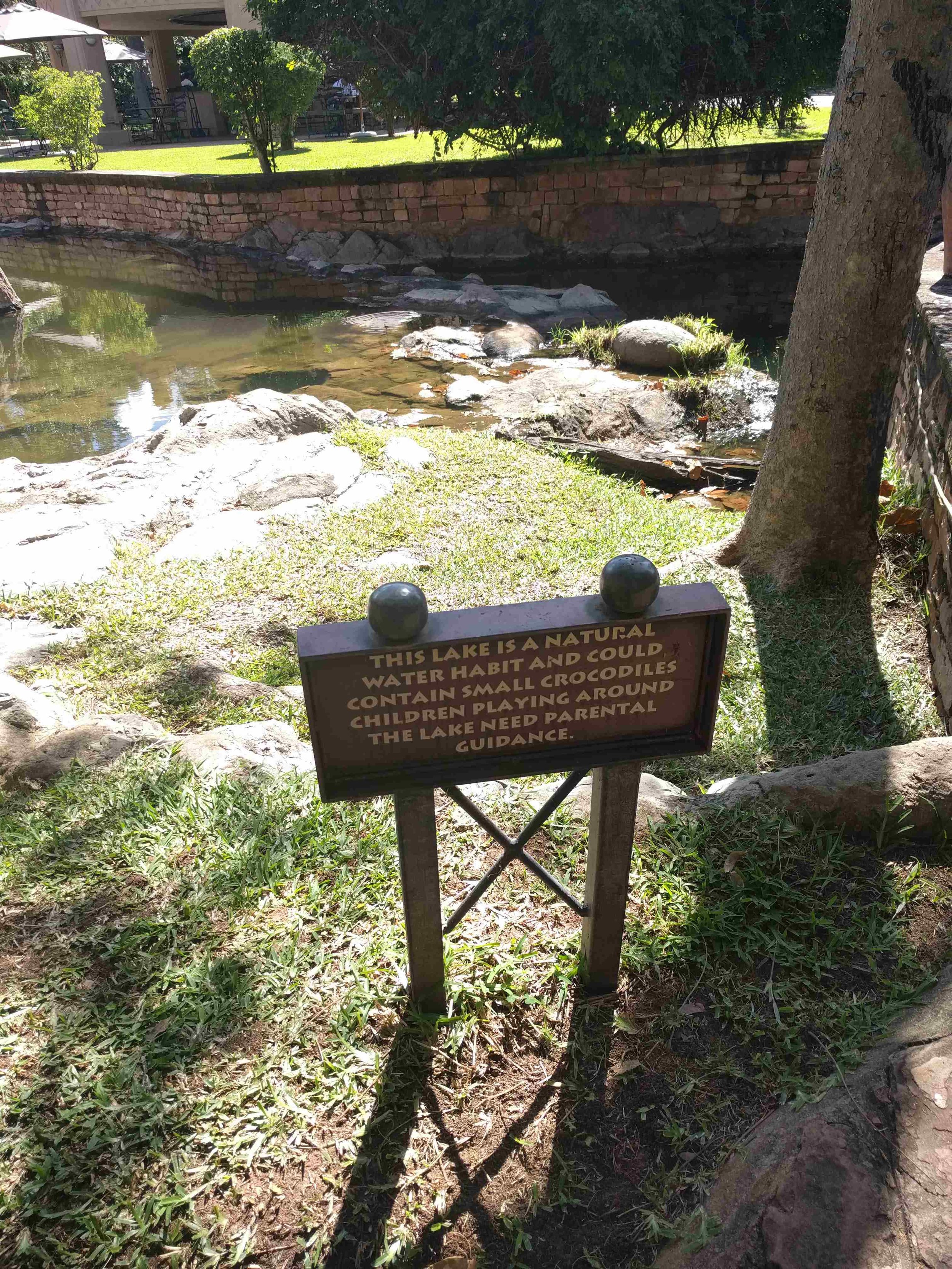 Watch out for crocs!