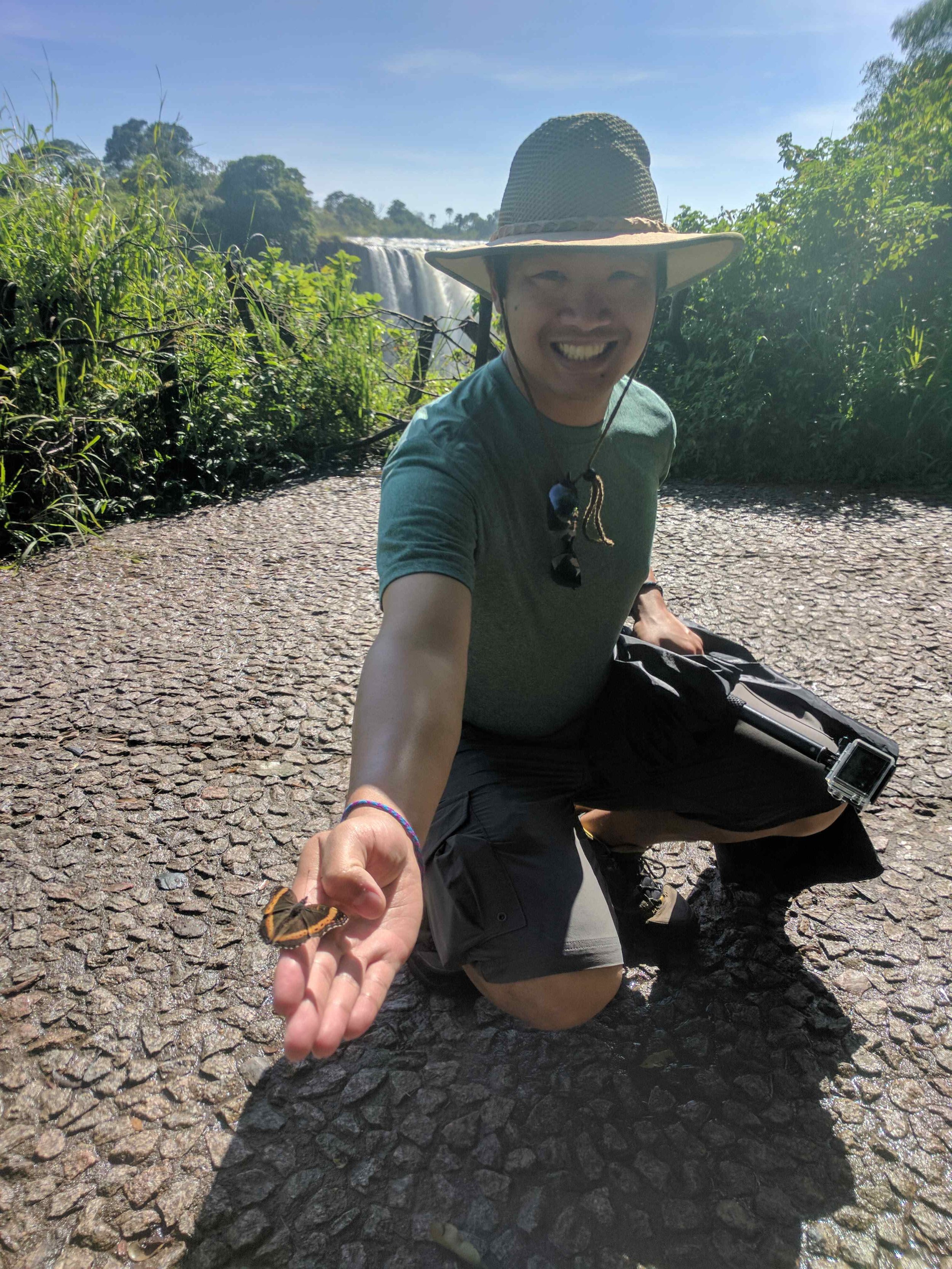We found a butterfly friend