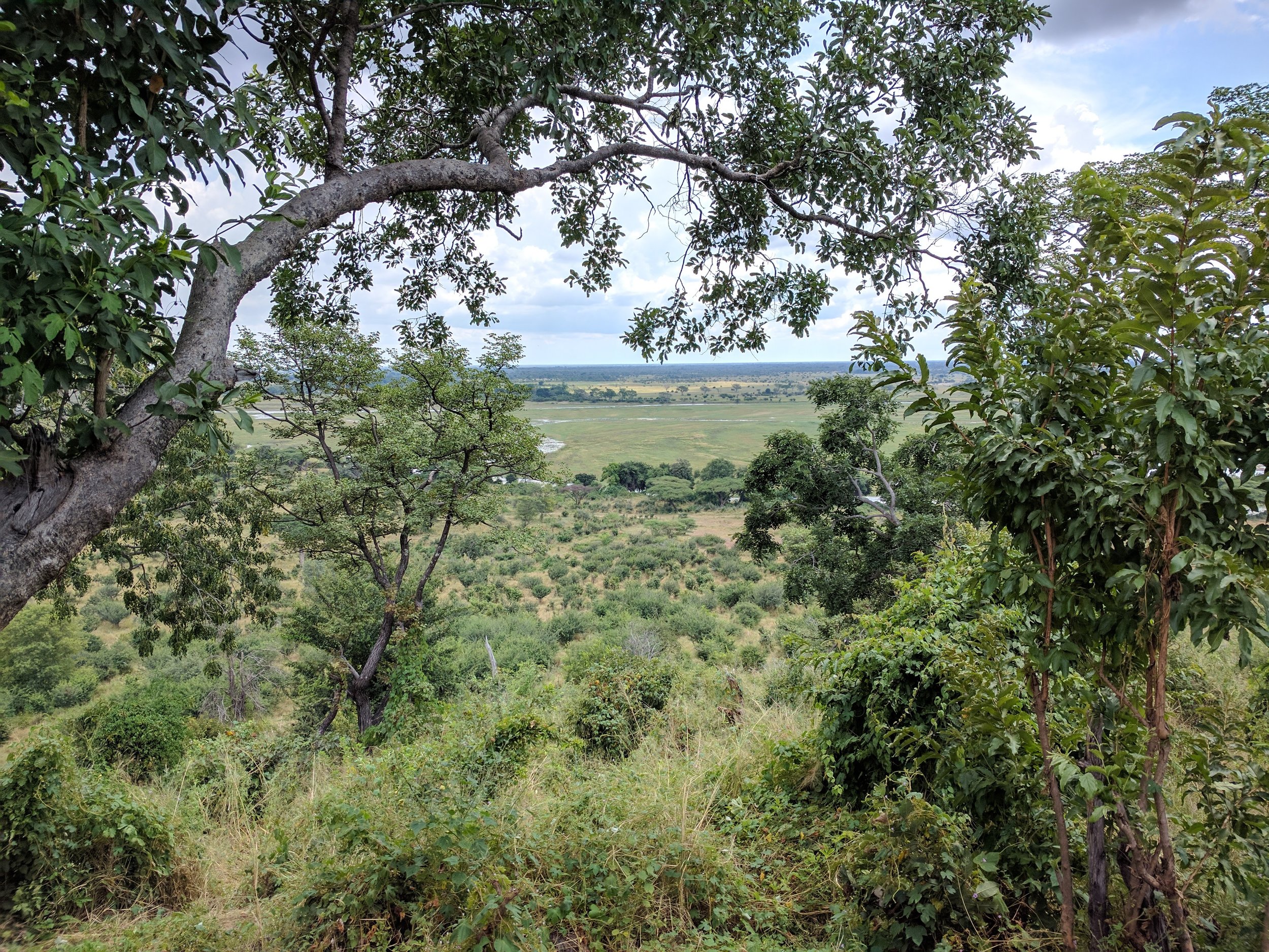 The view from our room (#5)
