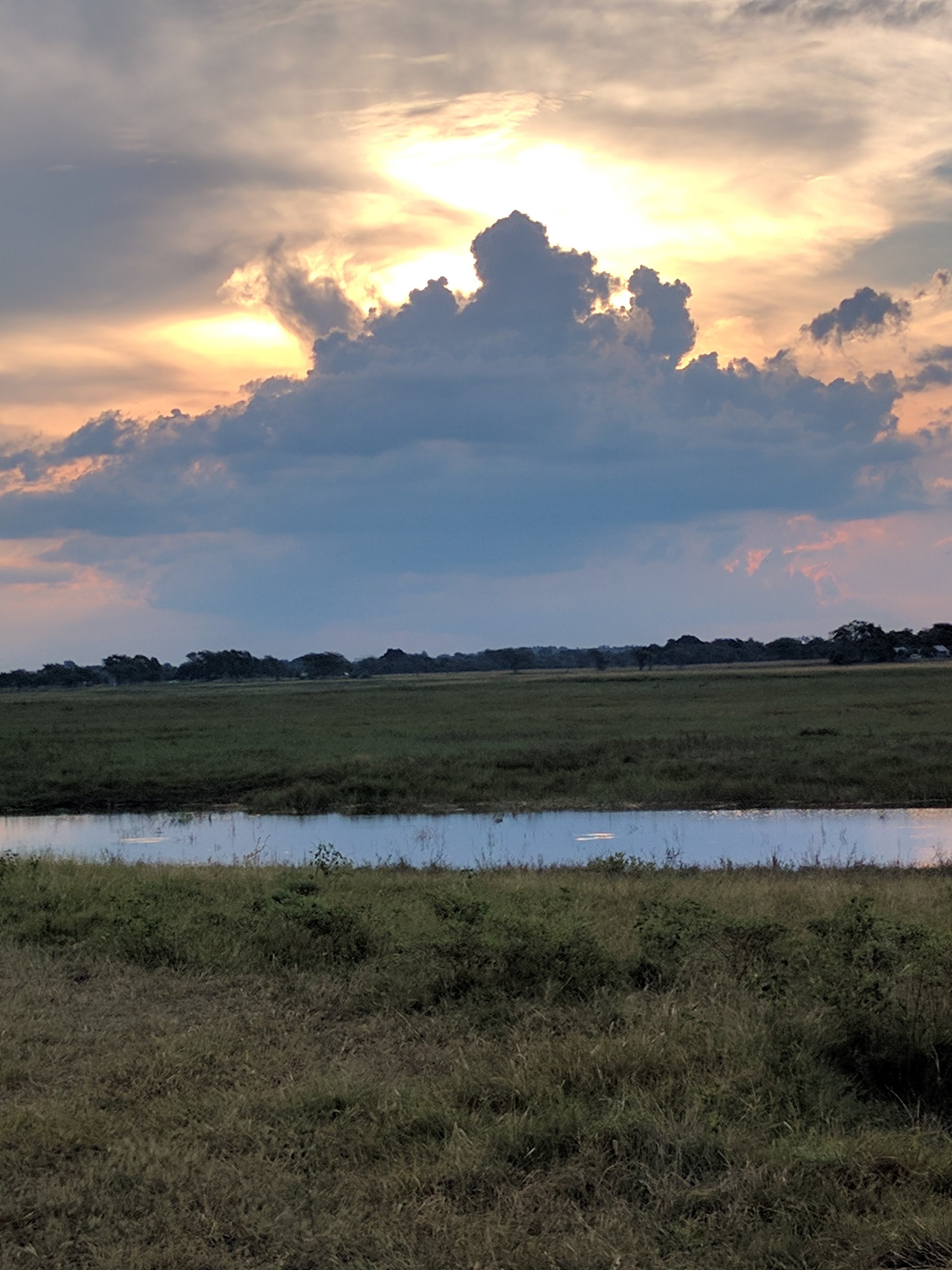 Sun starting to set over the Chobe river