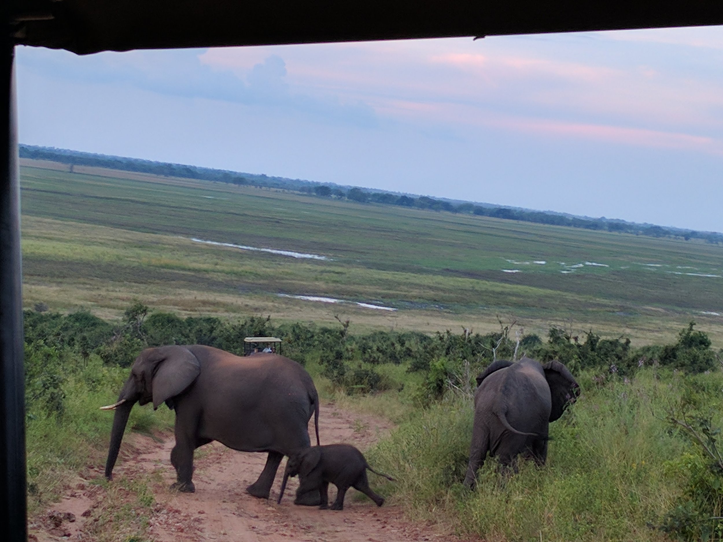 omg baby eles! So cuteeee