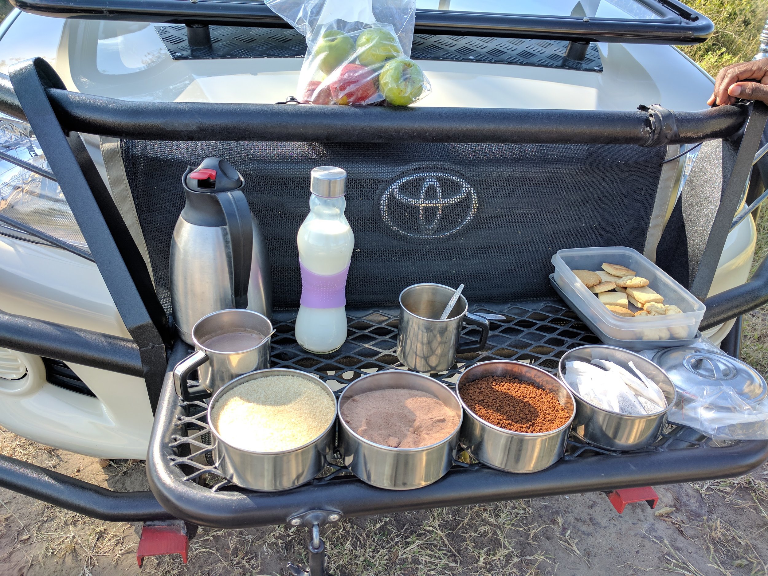 Tea time on the game drive