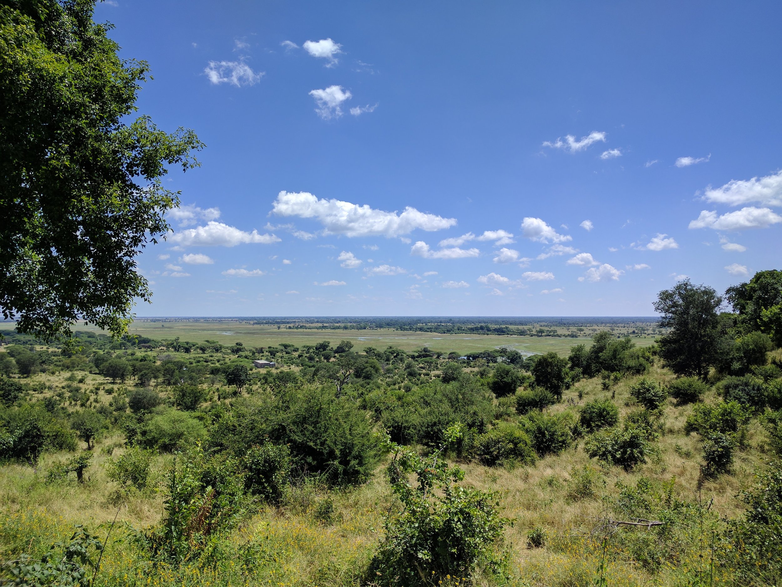 Beautiful views from the lodge
