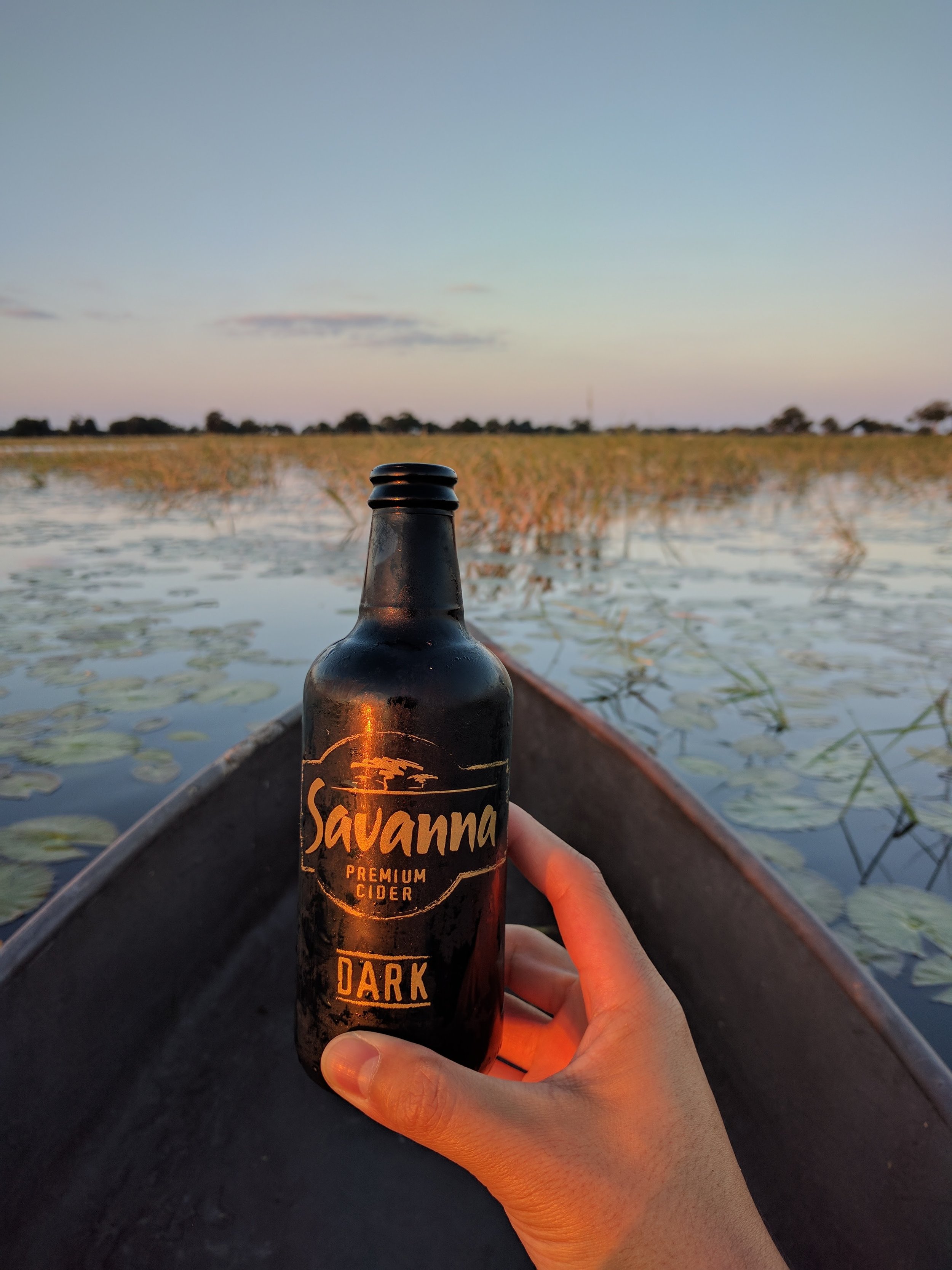 Local dark beer - pretty tasty