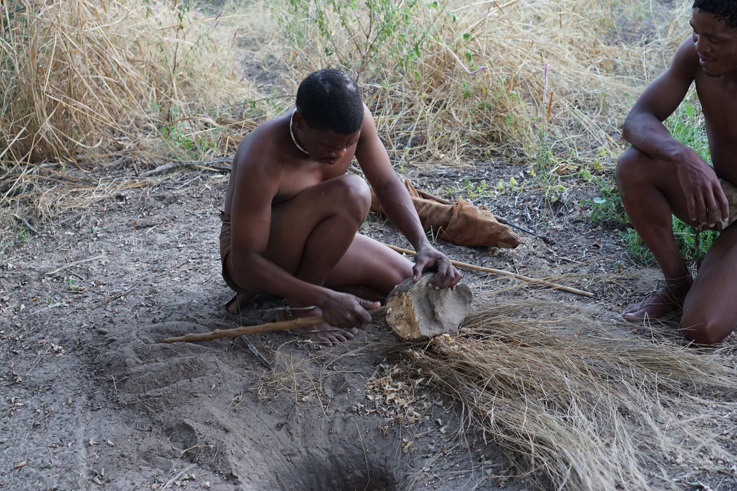 Vegetable that is shaved for water