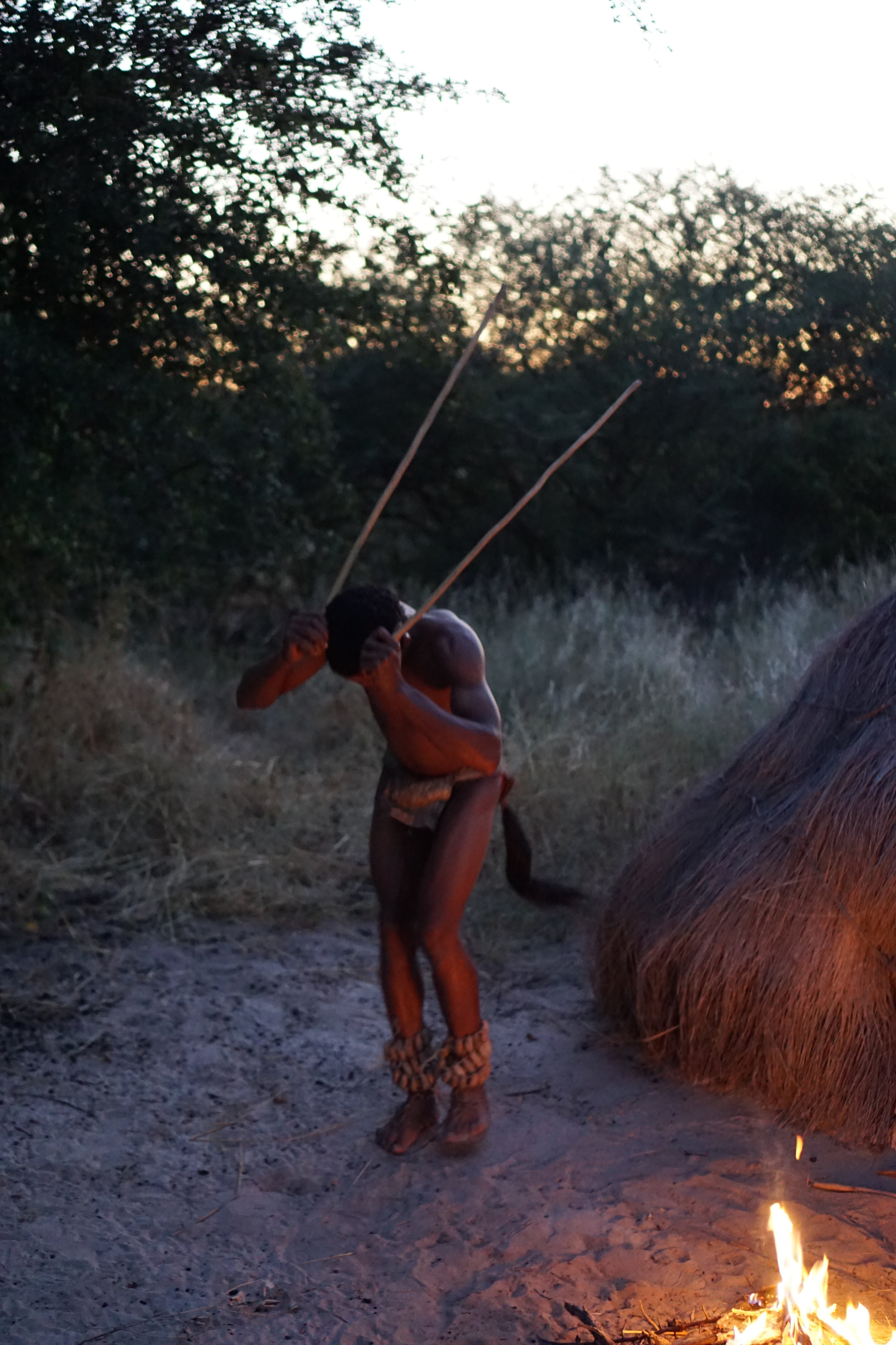 Re-enacting a hunt for an Oryx