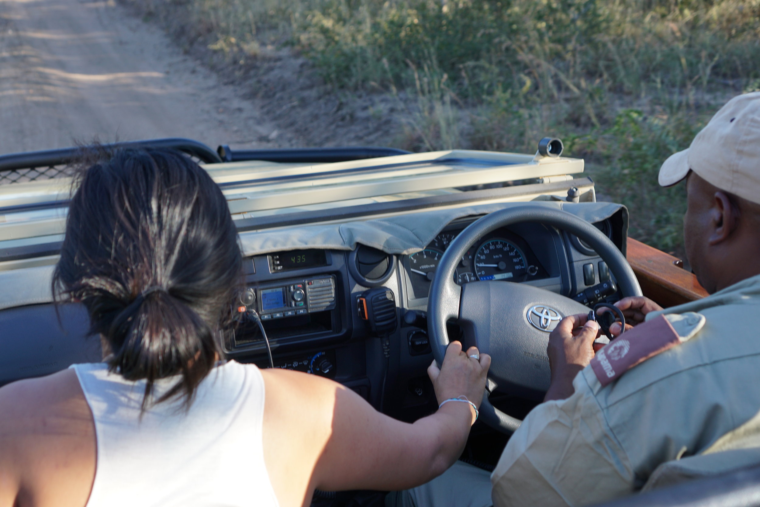 Take the wheel!