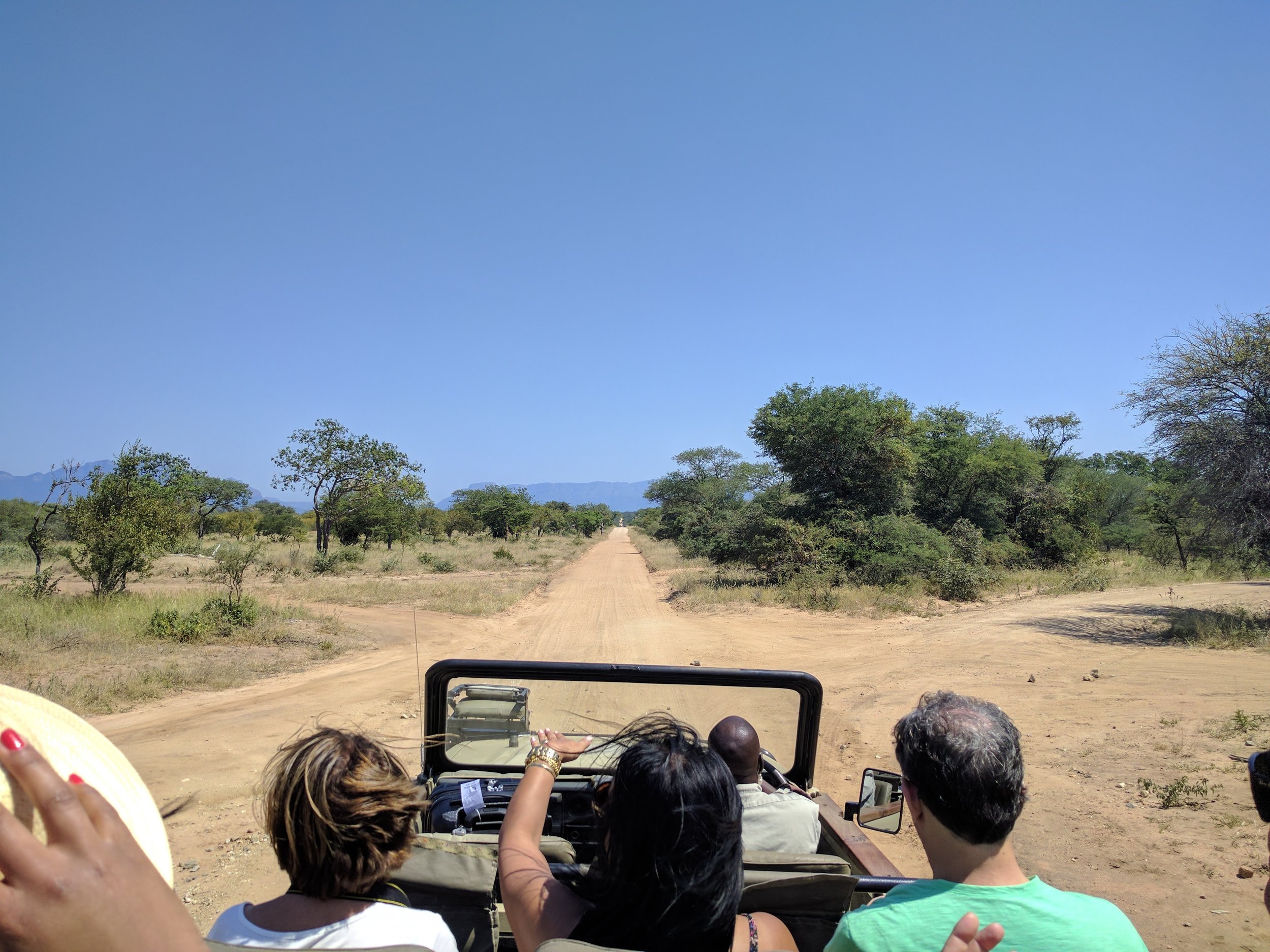 Lots of dirt roads criss crossing everywhere