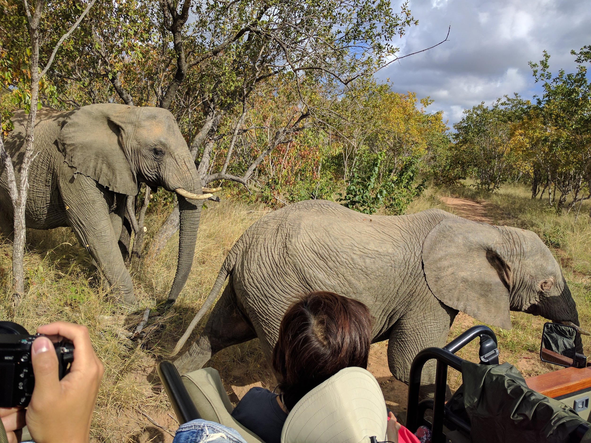 Really close eles