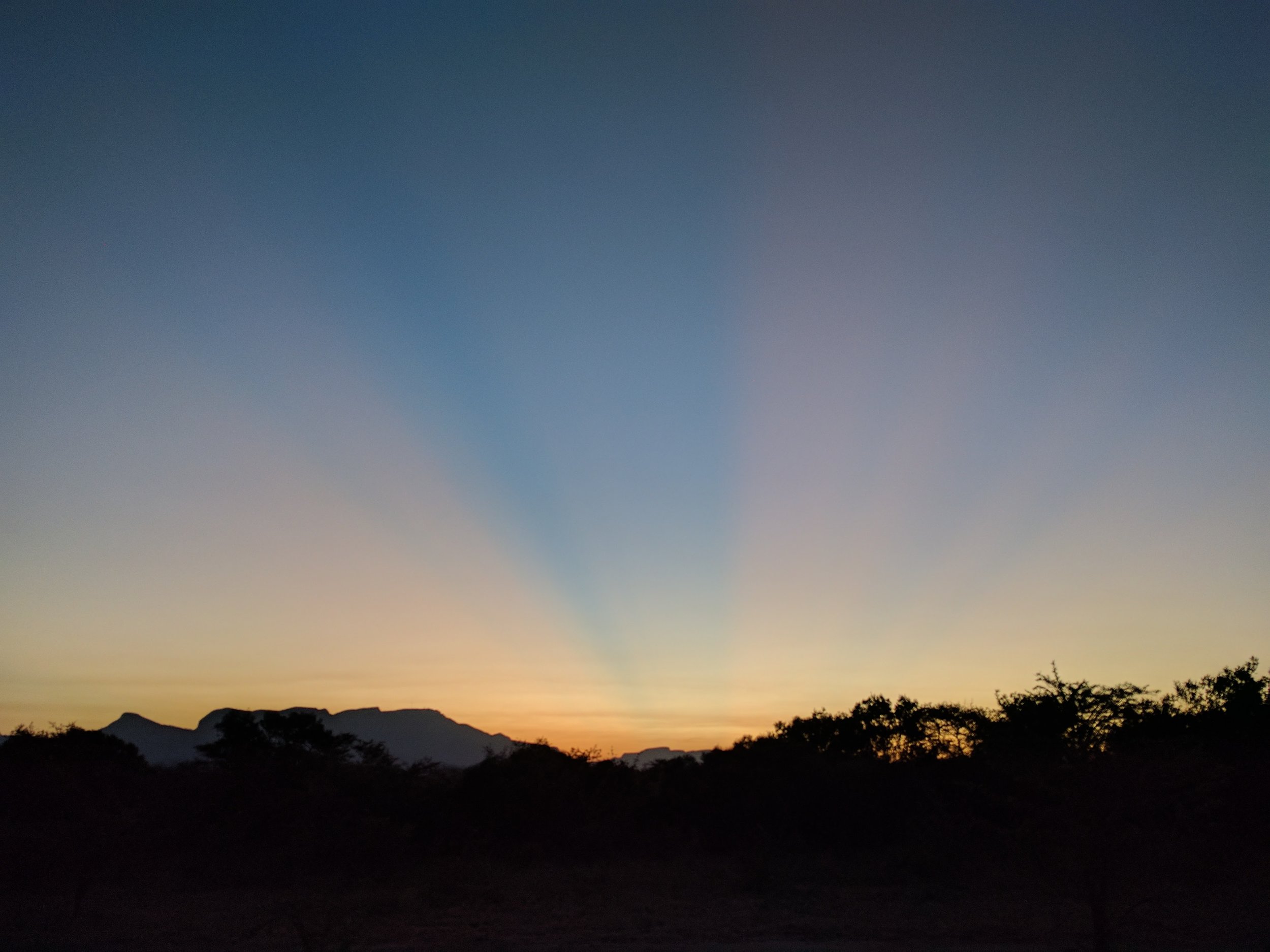 Rays of sun at sunset