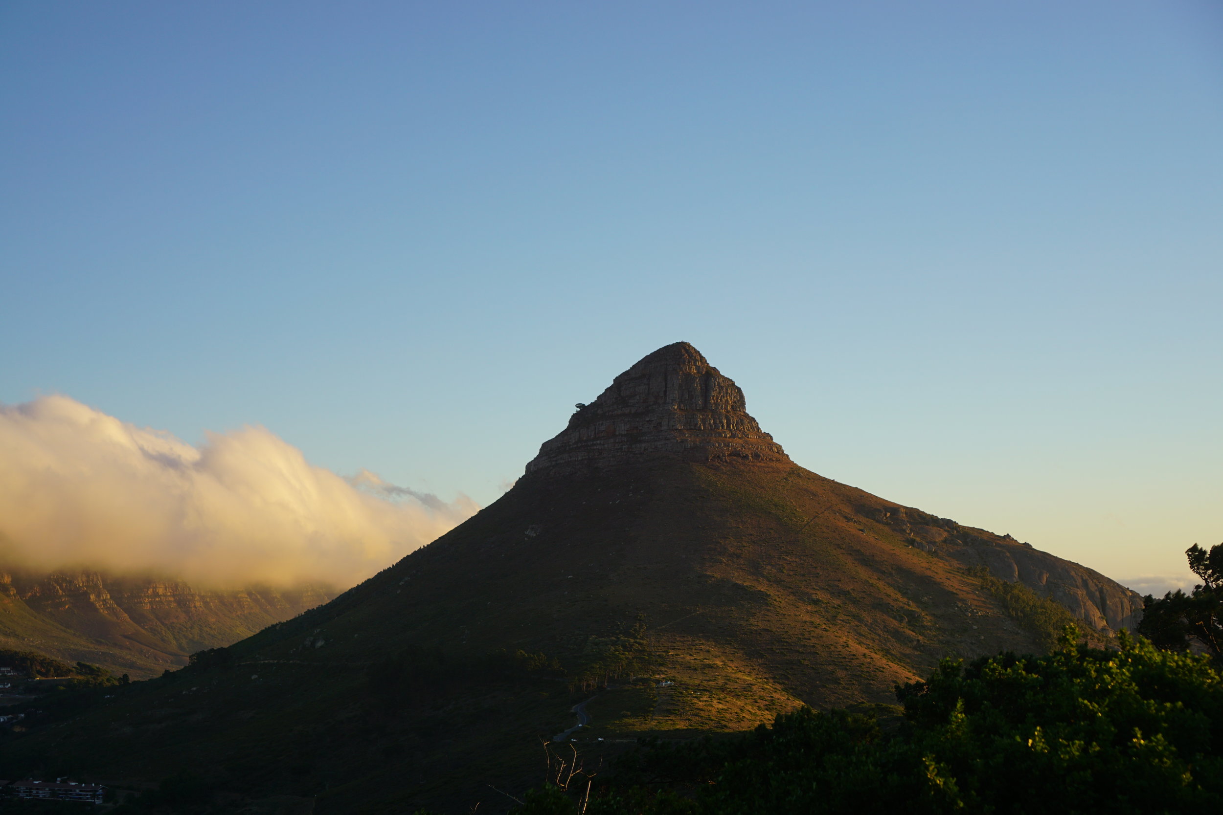 Lion's Head