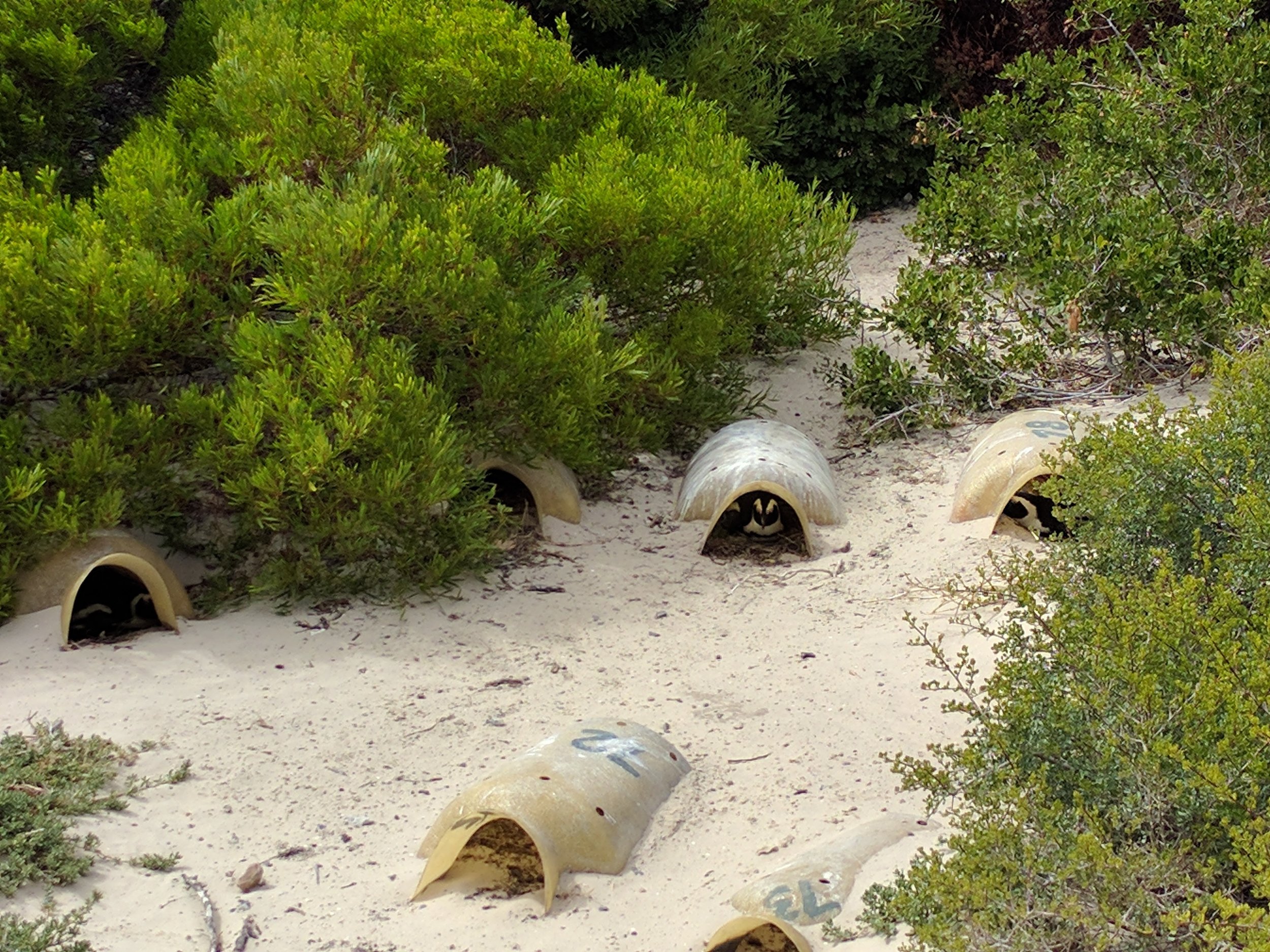 Nesting jugs