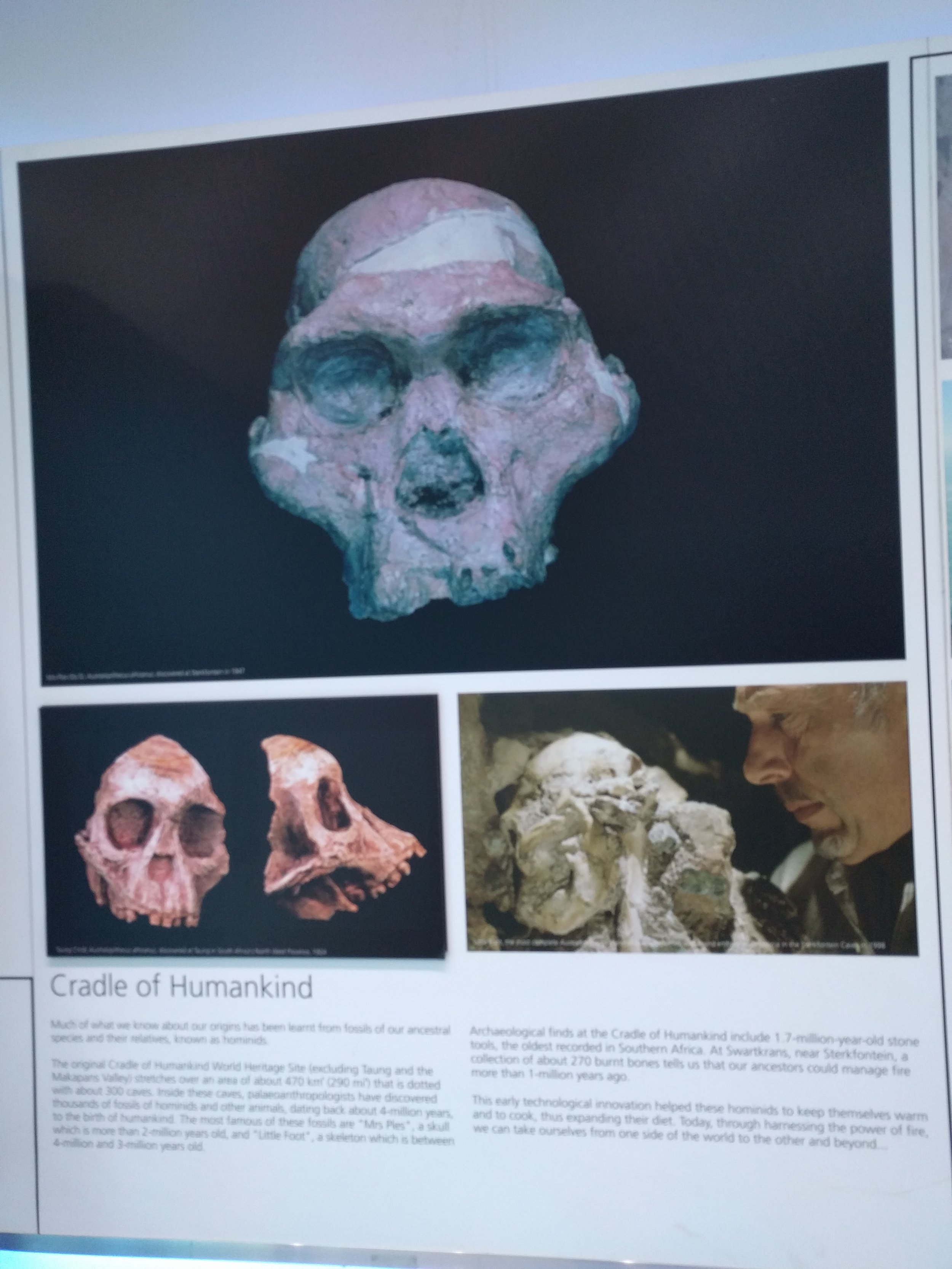 There is a gallery/musem before going to the caves